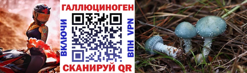 Галлюциногенные грибы мицелий Мелеуз